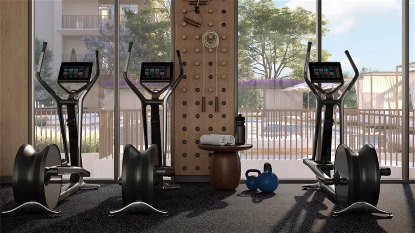 Mangrove at Creek Beach