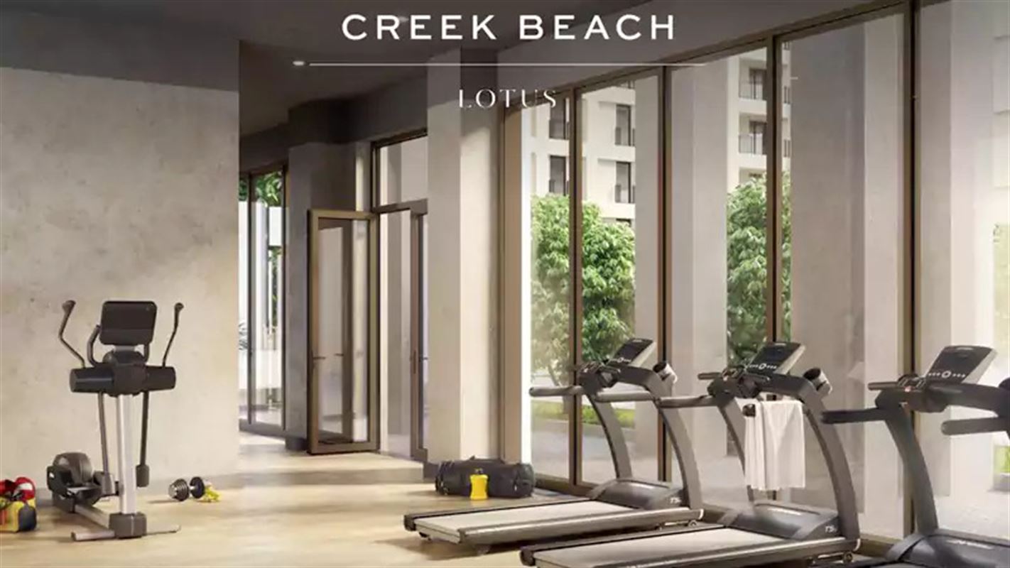 Lotus at Creek Beach