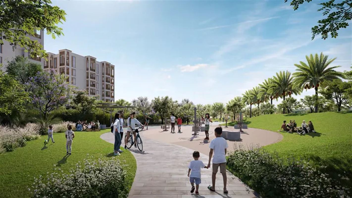 Mangrove at Creek Beach