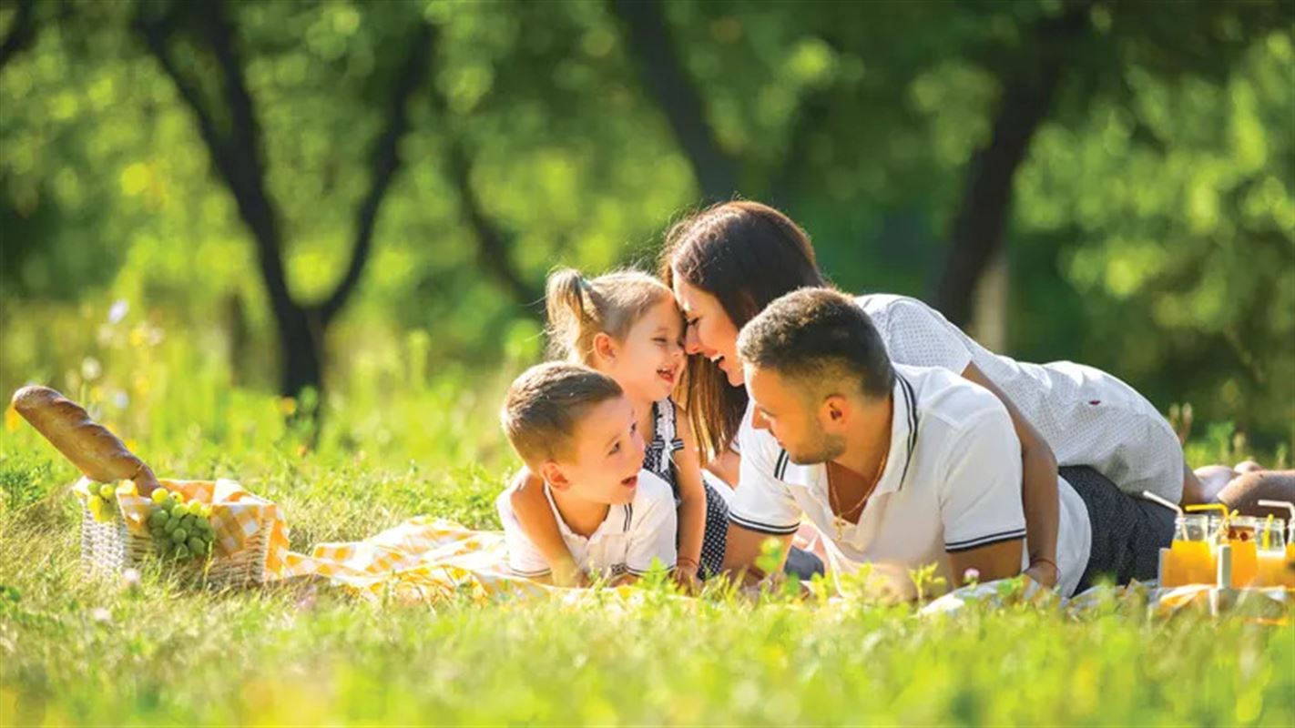 Views of Samana Barari