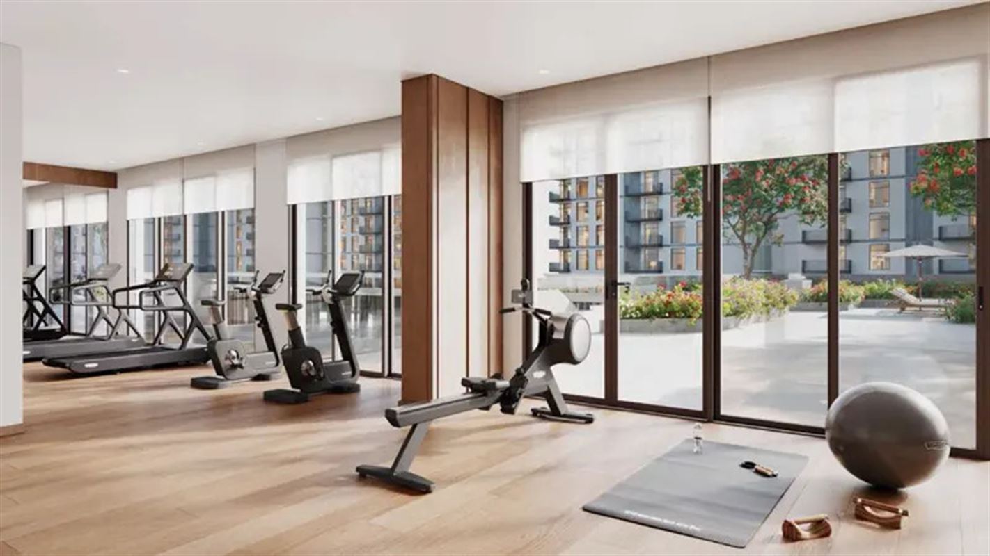 Savannah in Town Square