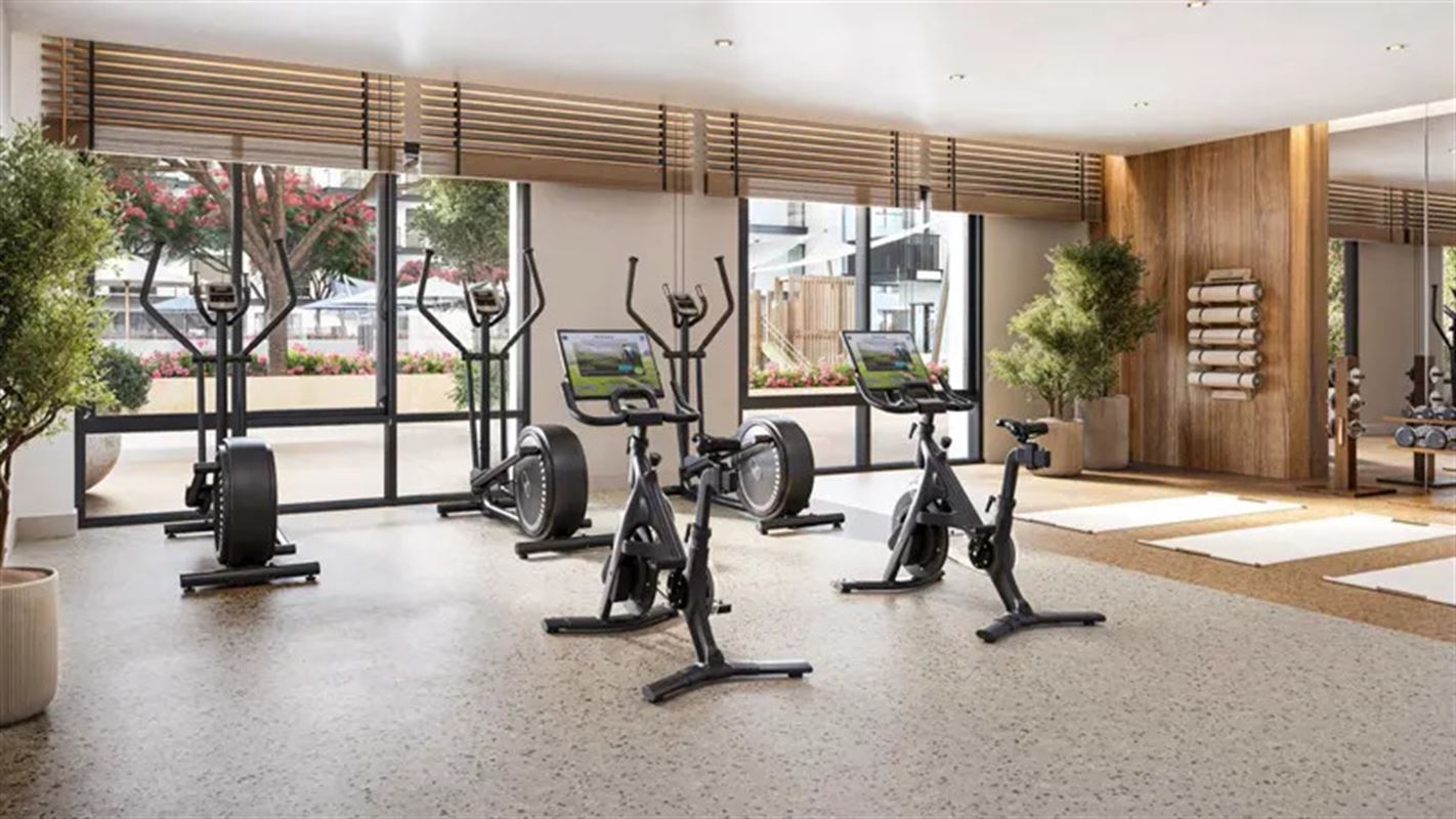 Haya in the town square