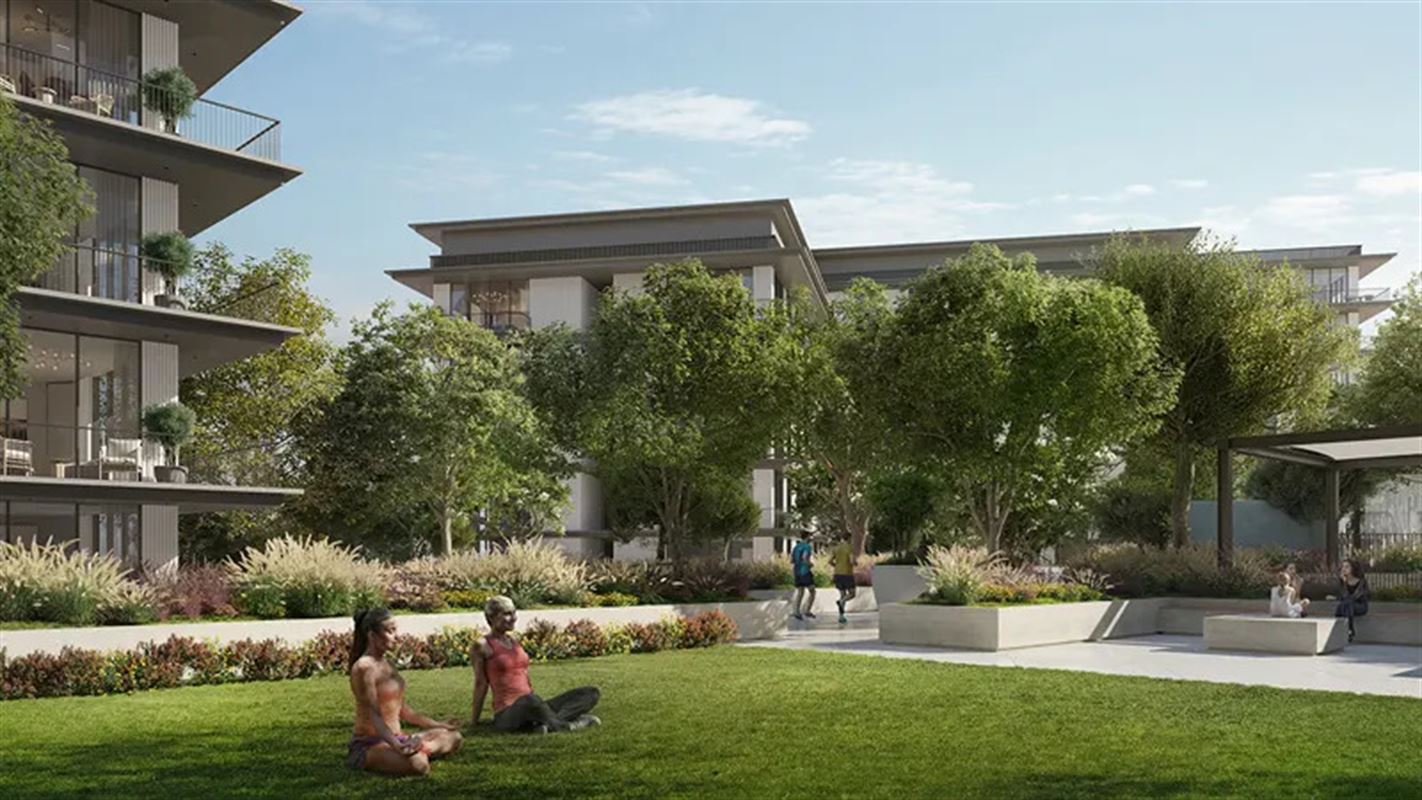 Emaar Ocean Cove Mina Rashid