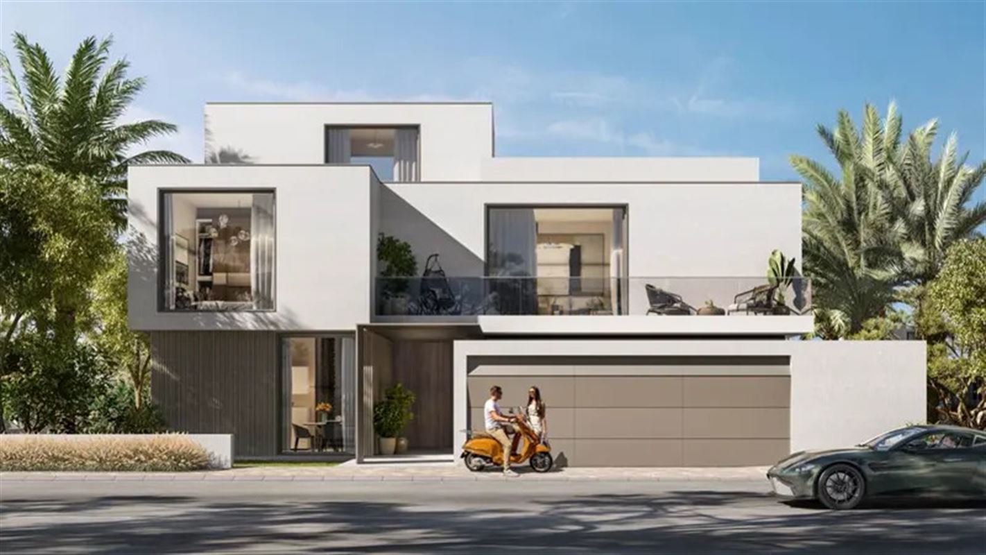 Palmiera at the Oasis