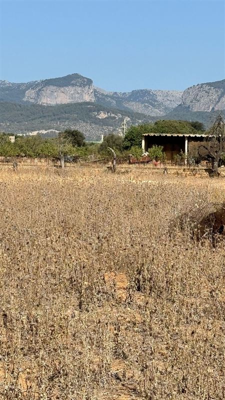 Terrains à vendre Mallorca, Binnisalem