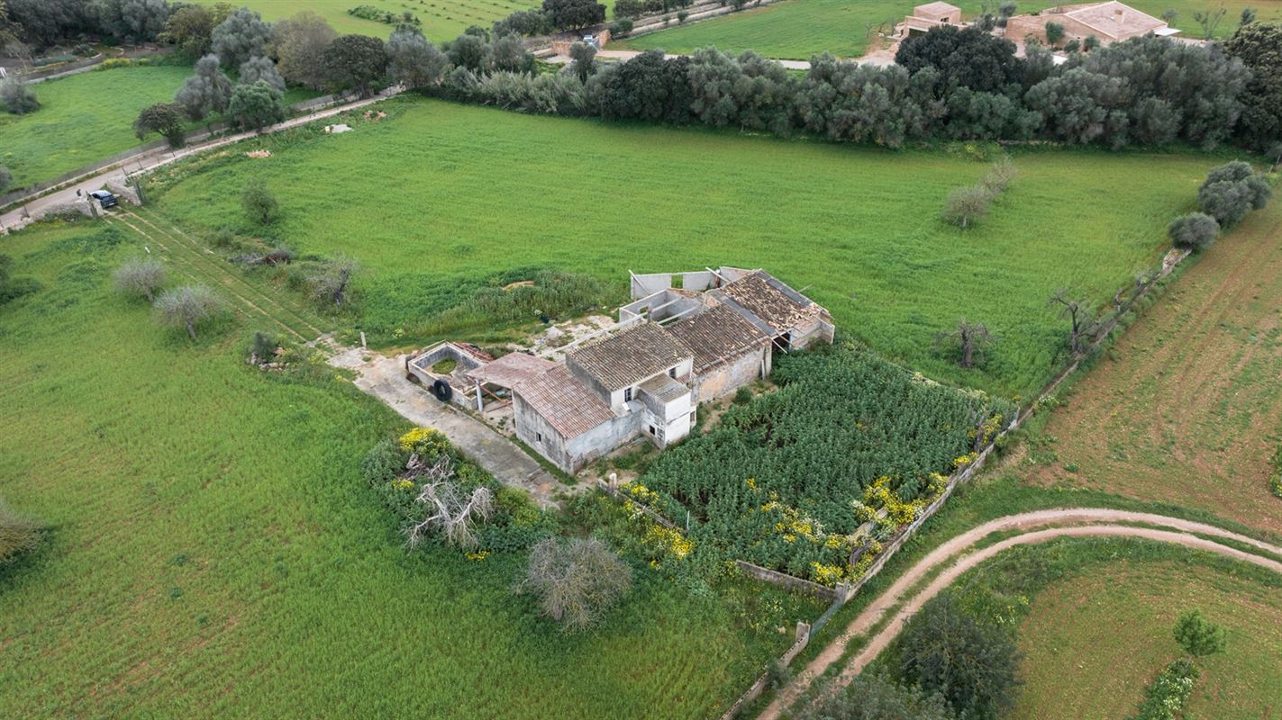 Terrains à vendre Mallorca, Binnisalem