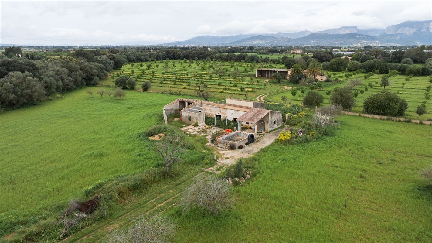 Terrains à vendre Mallorca, Binnisalem