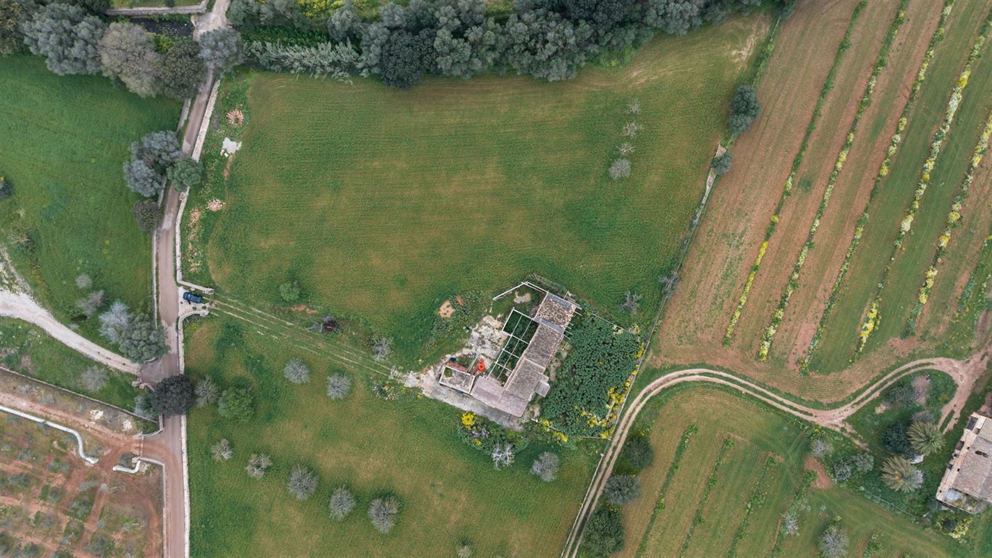 Terrains à vendre Mallorca, Binnisalem