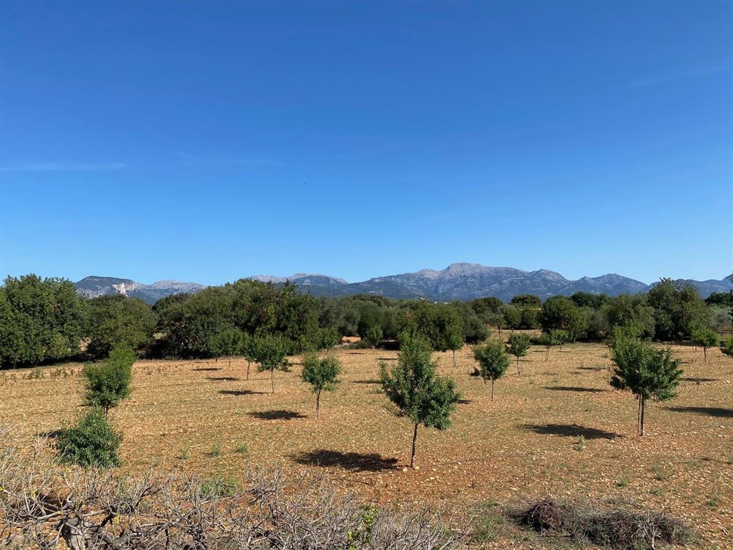 Terrains à vendre Mallorca, Binnisalem