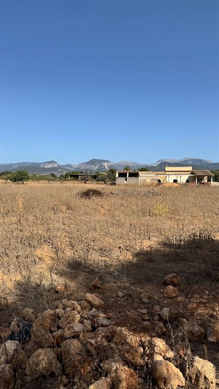 Terrains à vendre Mallorca, Binnisalem