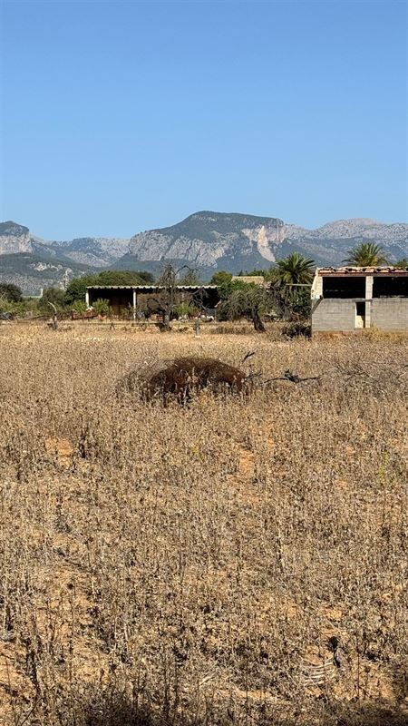 Terrains à vendre Mallorca, Binnisalem