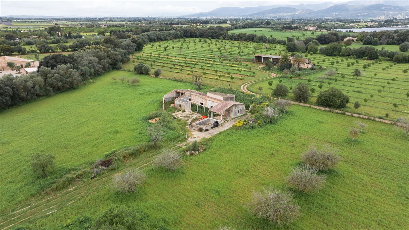 Terrains à vendre Mallorca, Binnisalem