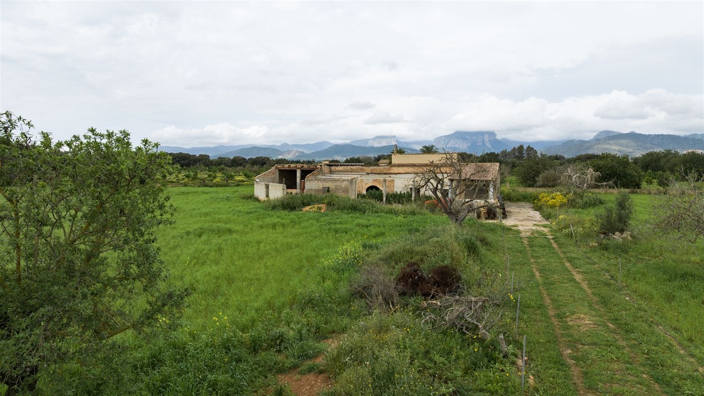 Terrains à vendre Mallorca, Binnisalem