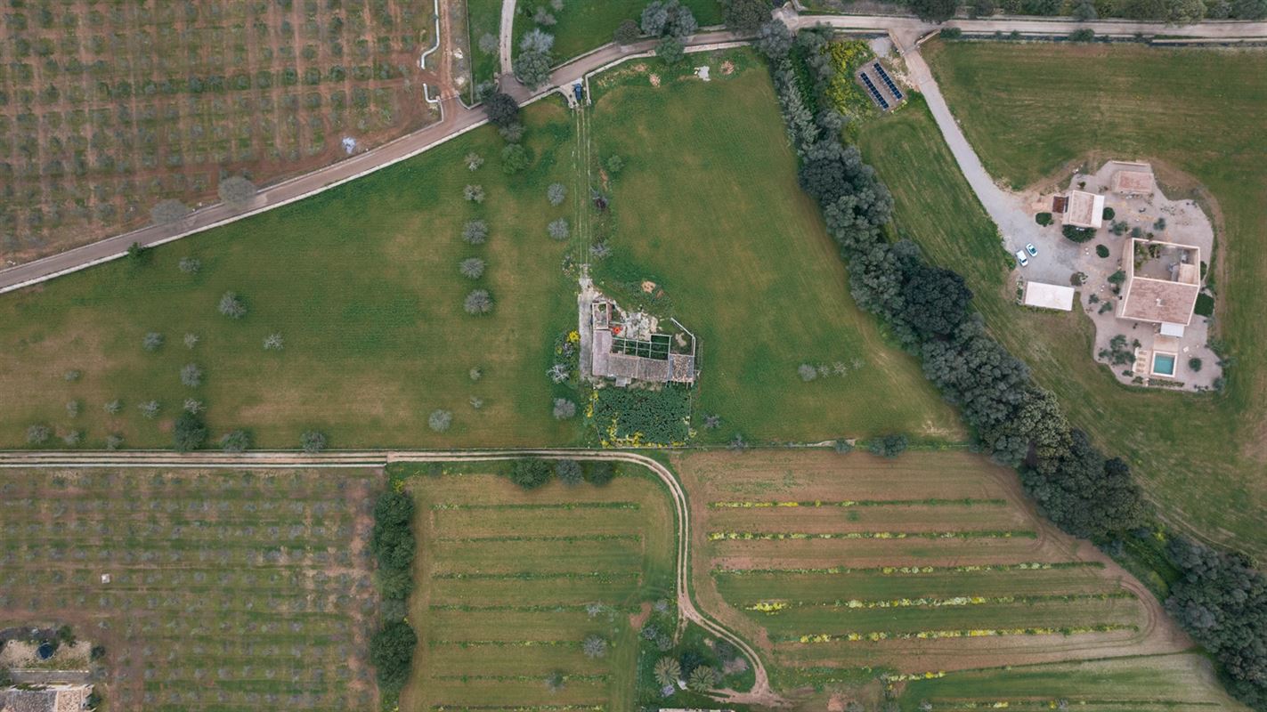 Terrains à vendre Mallorca, Binnisalem