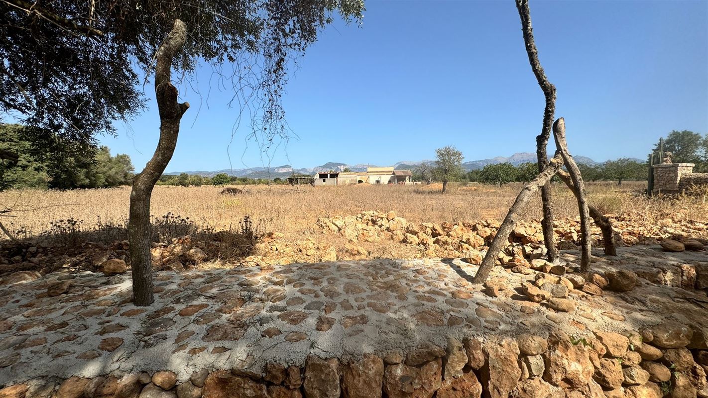 Terrains à vendre Mallorca, Binnisalem