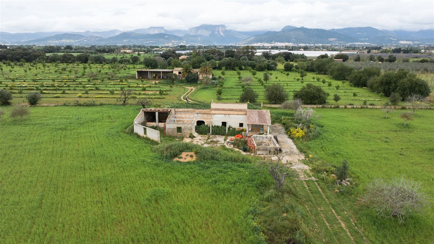 Terrains à vendre Mallorca, Binnisalem