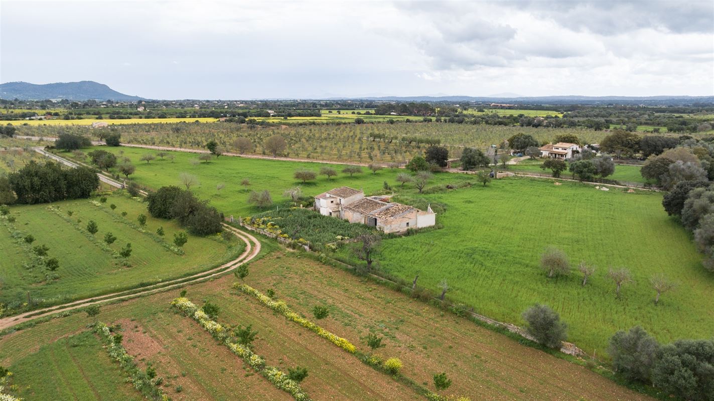 Terrains à vendre Mallorca, Binnisalem