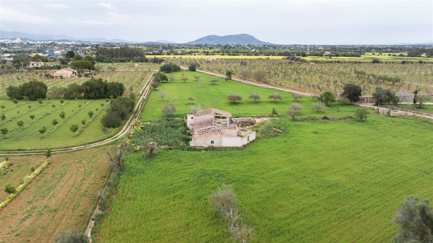 Terrains à vendre Mallorca, Binnisalem