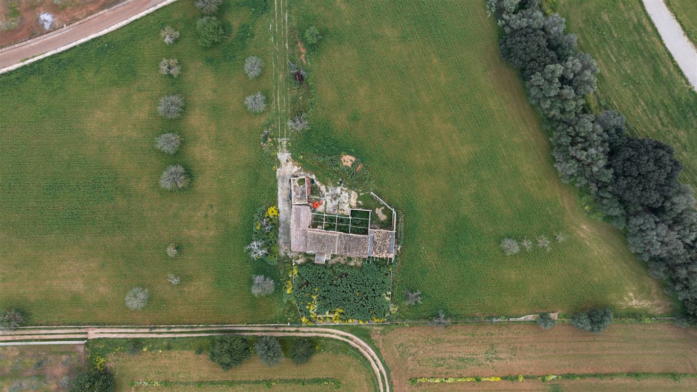 Terrains à vendre Mallorca, Binnisalem