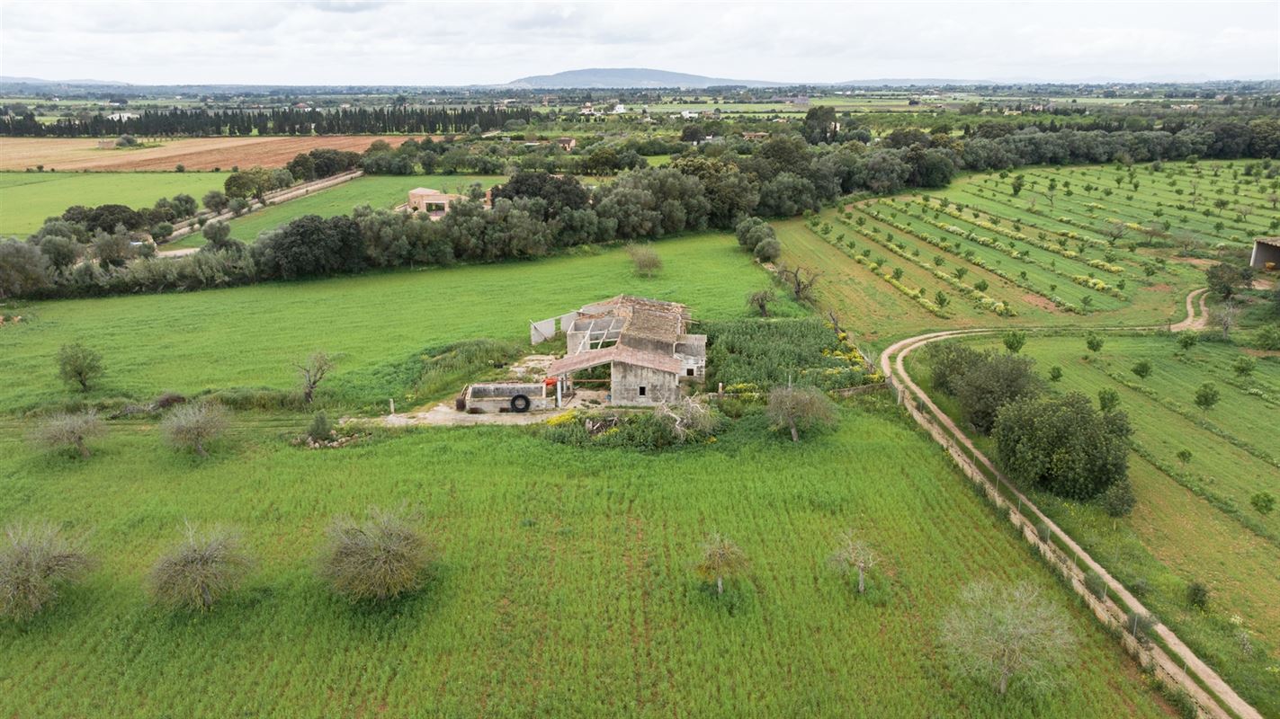 Terrains à vendre Mallorca, Binnisalem