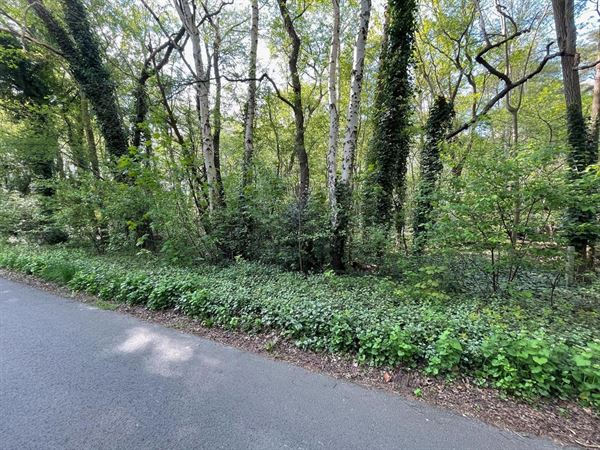 Bouwgrond te kapellen in groene buurt