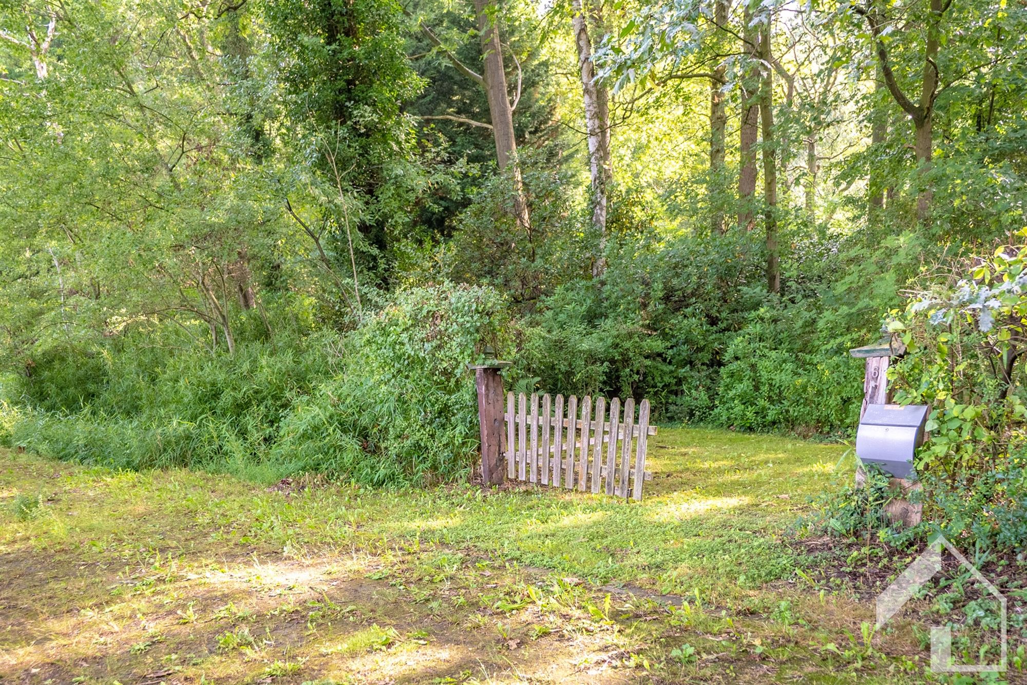 Recreatiegrond in het groen