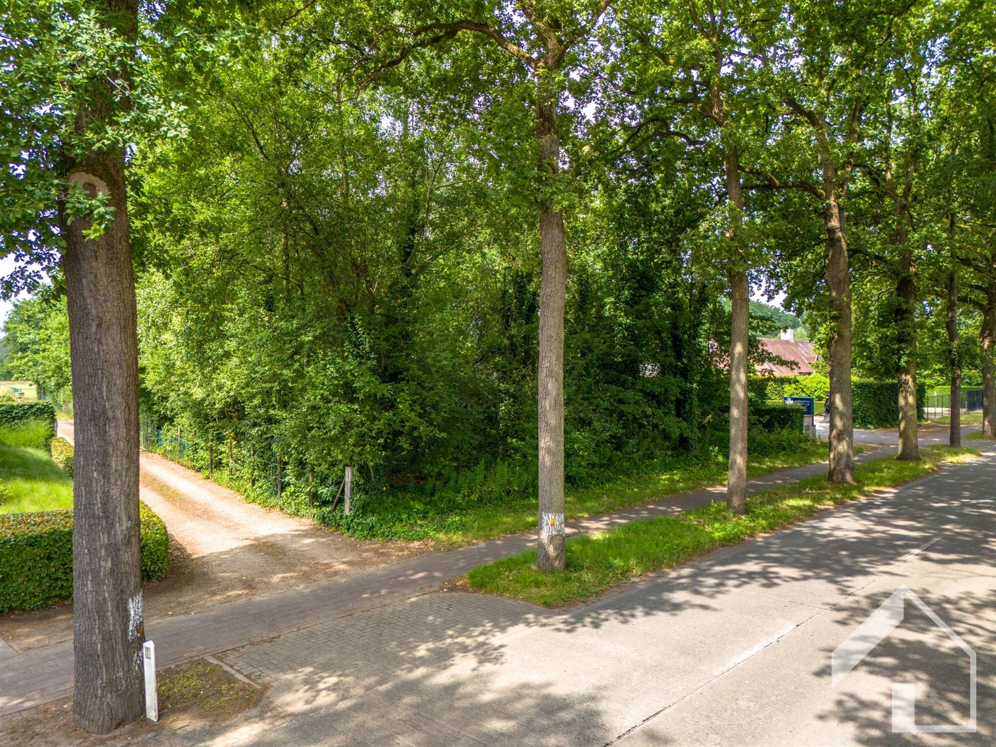 Ruime grond (2.060 m²) voor open bebouwing