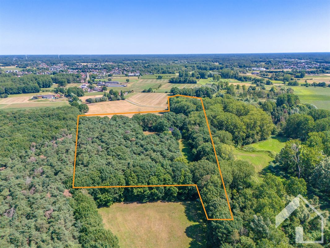 Uniek renovatieproject op uitzonderlijk domein van meer dan 4 hectare in Pulderbos