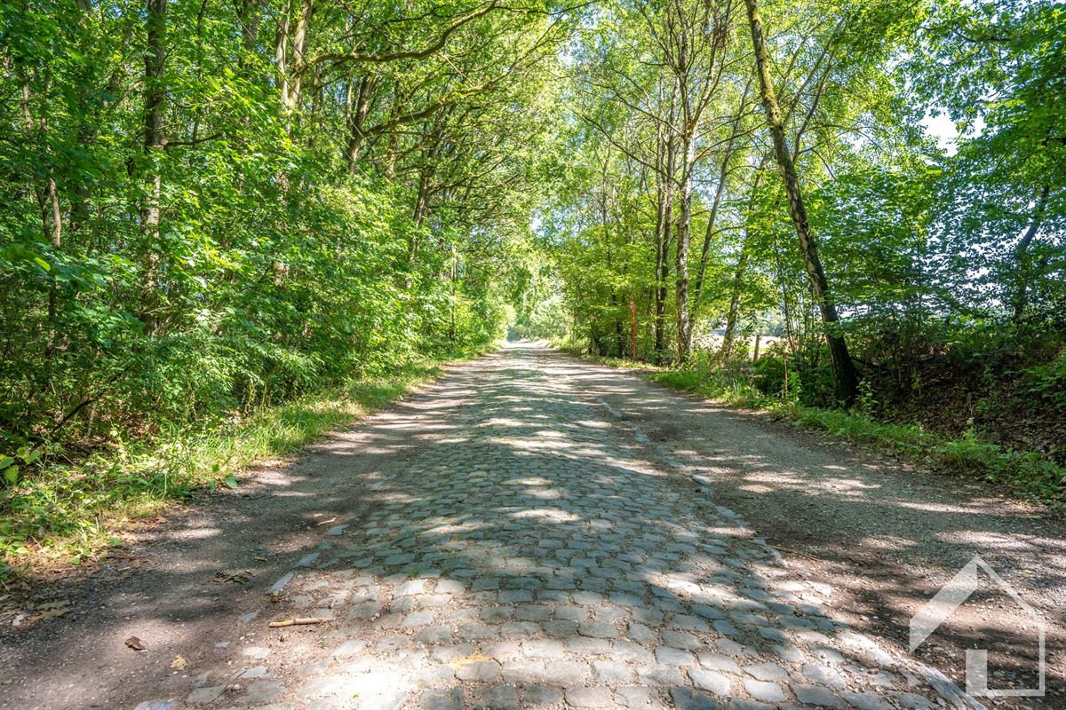 Uniek renovatieproject op uitzonderlijk domein van meer dan 4 hectare in Pulderbos