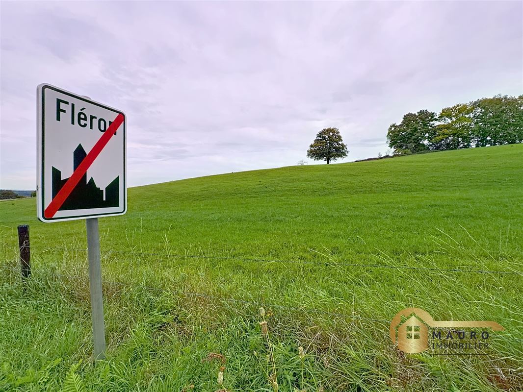 Grand terrain à vendre à la Campagne.