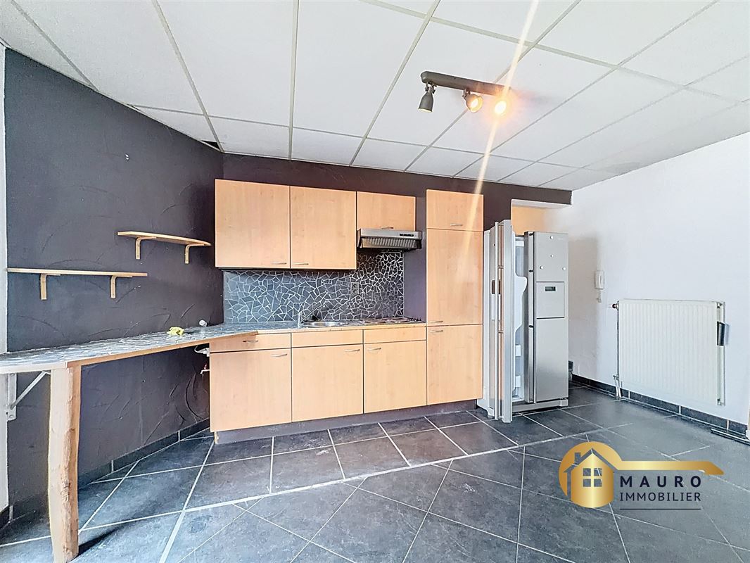 Appartement 1 ch + bureau à louer