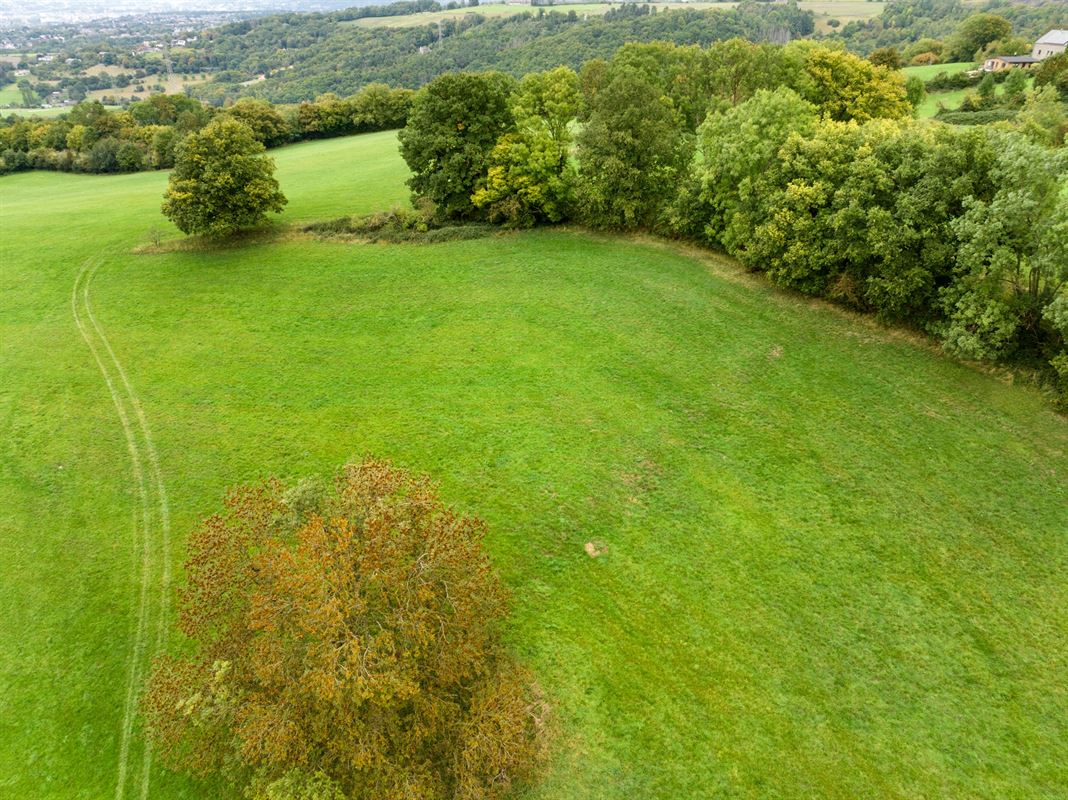 Grand terrain à vendre à la Campagne.