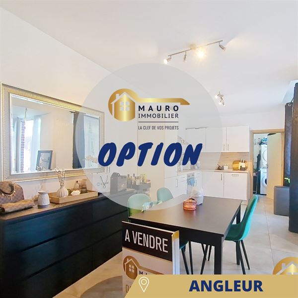 Appartement 1 chambre angleur