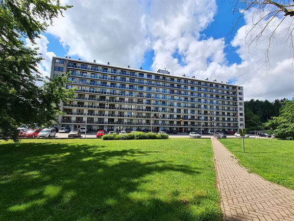Appartement 2 chambres rez