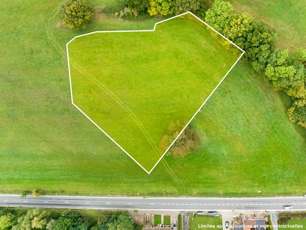 Superbe terrain à Romsée.