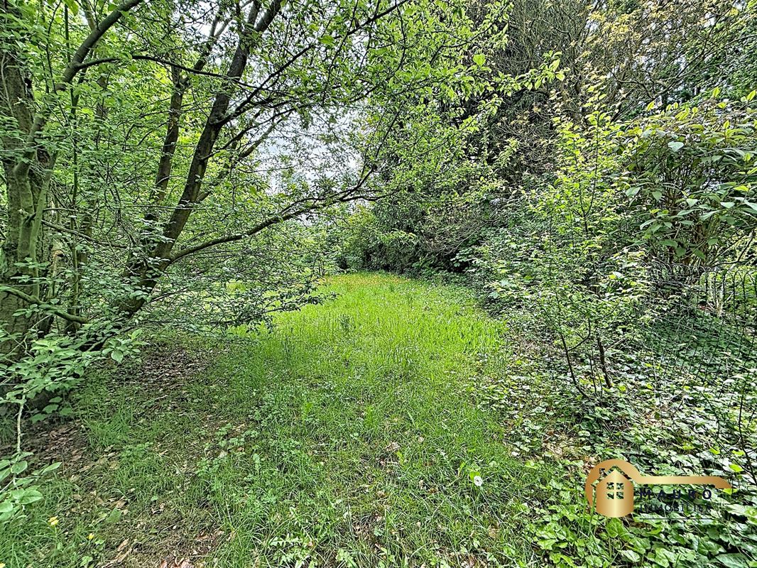 Maison rénovée avec grand terrain