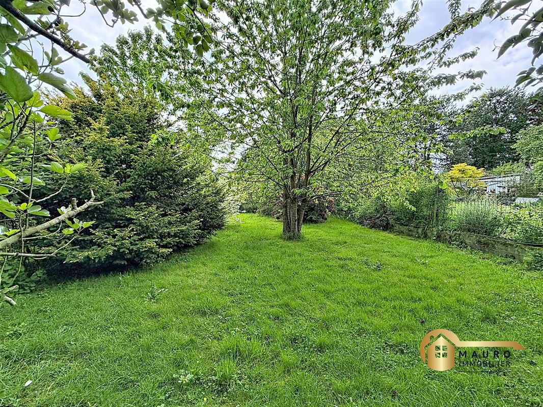Maison rénovée avec grand terrain
