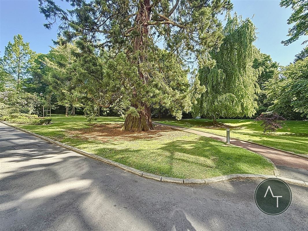 Van Becelaere / Studio +/- 48m² à rénover