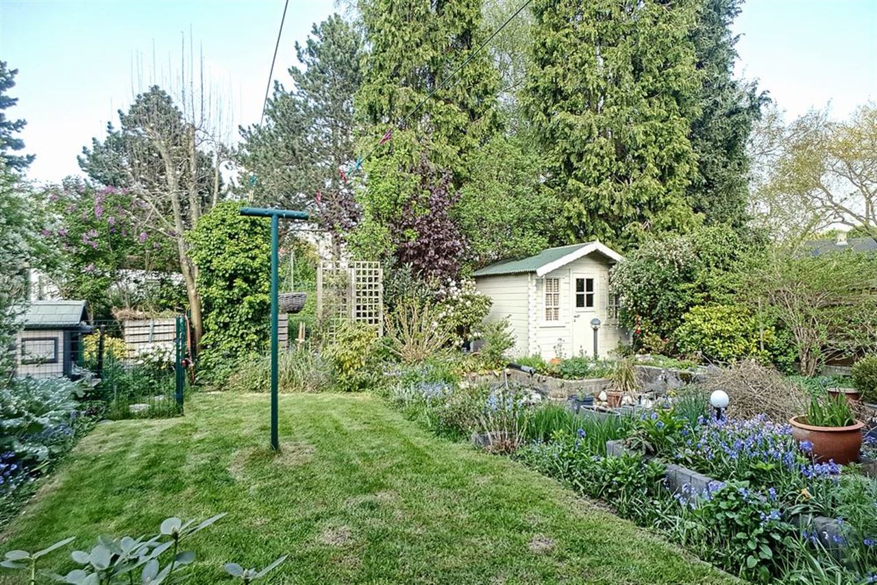 Cozy house in a dead-end street