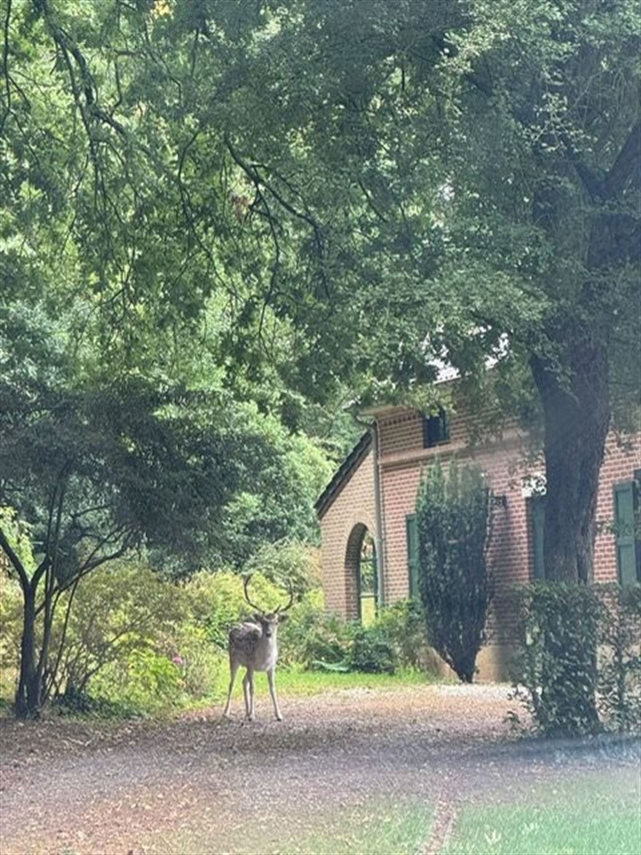 Idyllisch gelegen villa op ±33,40 are in hartje Eizer