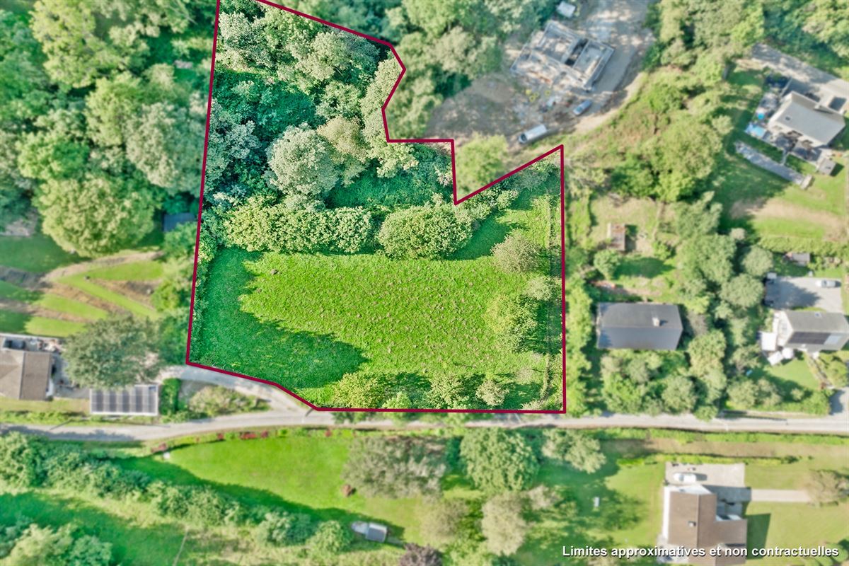 Building plot (Projects)