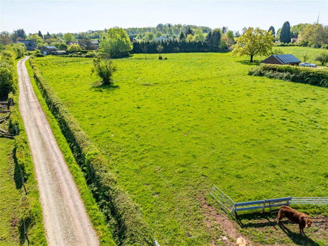 Xhoris (Ferrières) - à vendre - terrain à bâtir de 1.200 m²