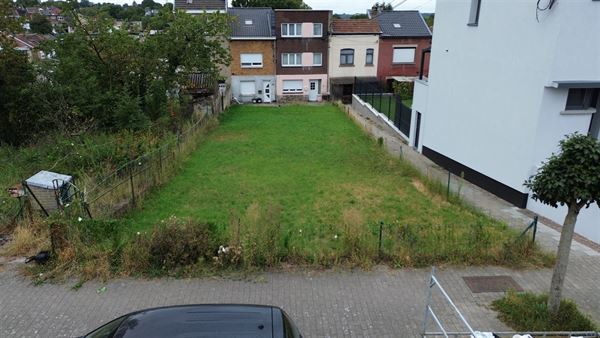 Terrain
