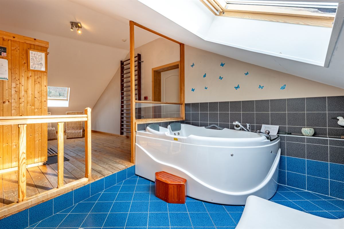 Stoumont - à vendre - maisons/gîtes de 9 chambres, sauna, jaccuzzi, terrasse