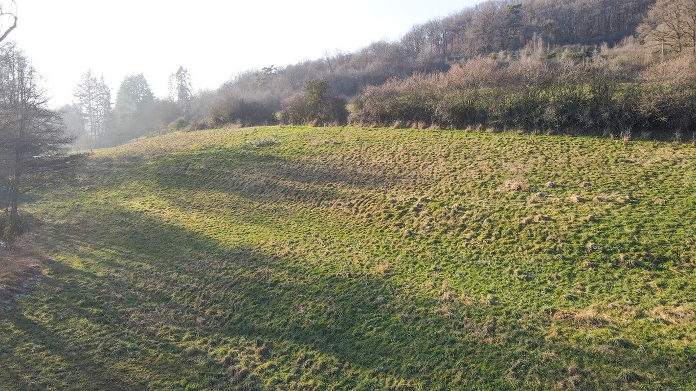 Parcelle à bâtir sur 55 ares - pour 4 villas 4 façades