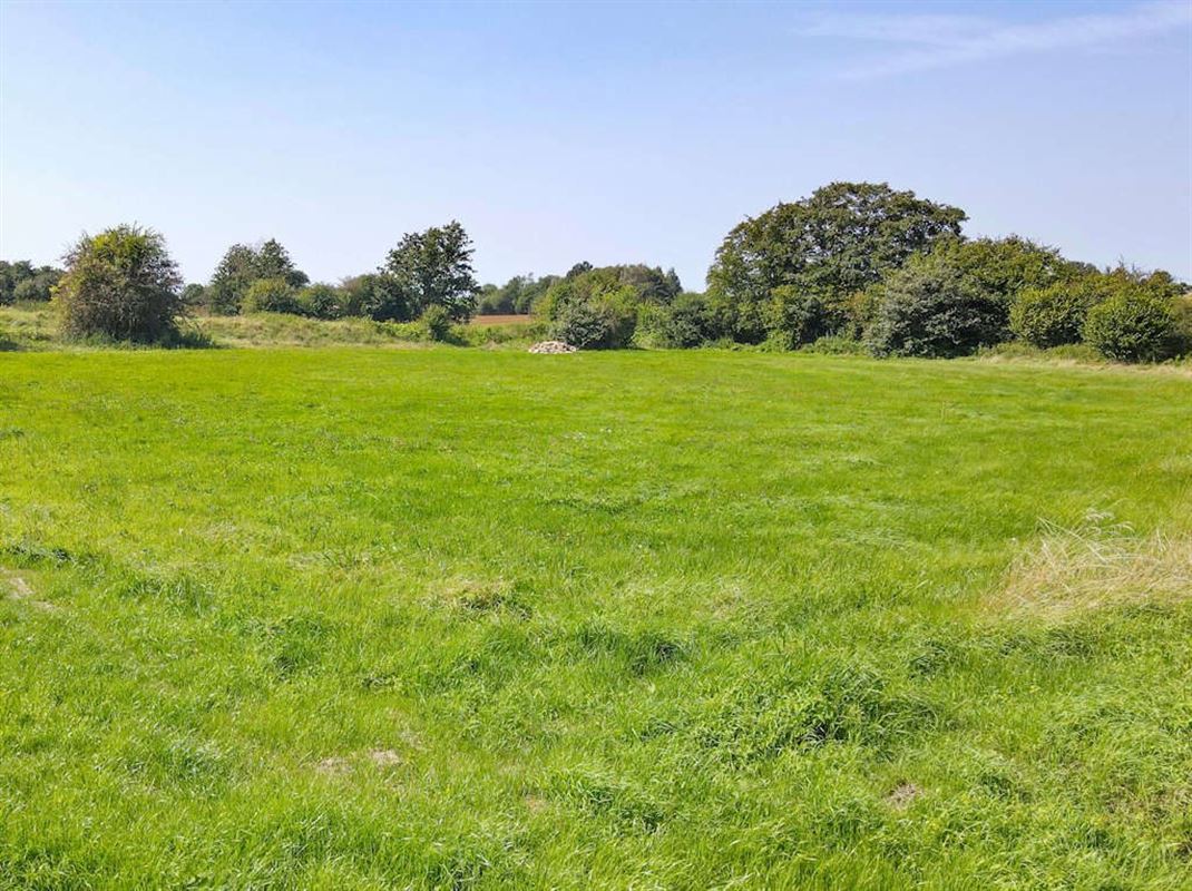 A 10 minutes de Ciney superbe parcelle à bâtir de 16a 45ca