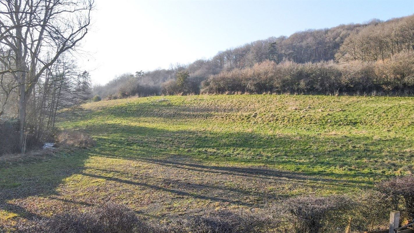 Parcelle à bâtir sur 55 ares - pour 4 villas 4 façades