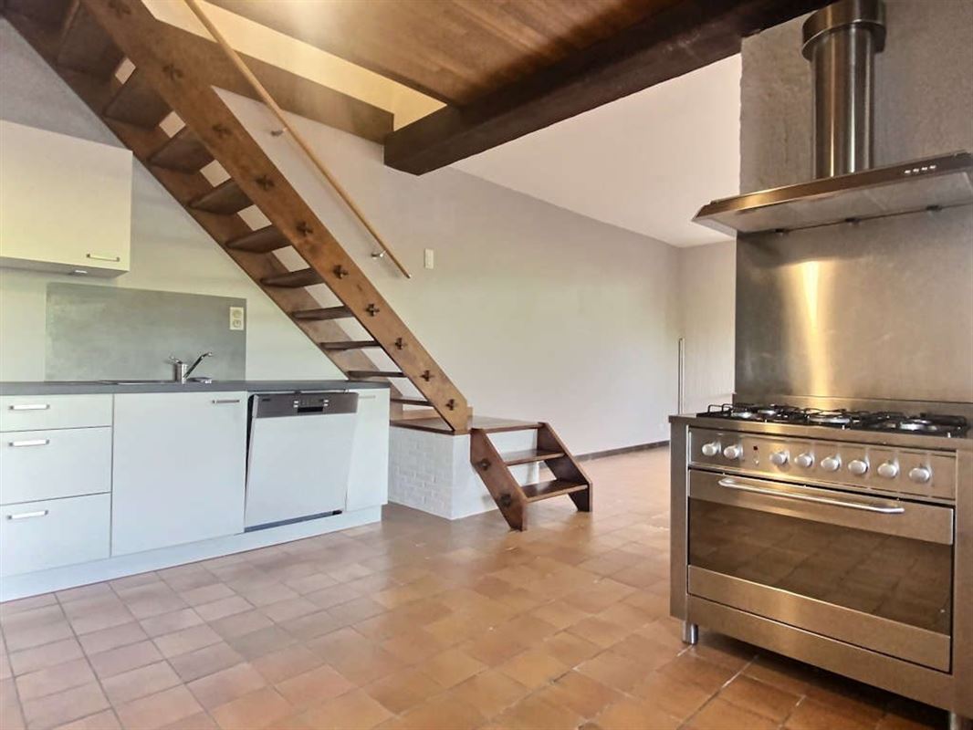 Spacieux et lumineux appartement 2 à 3 chambres