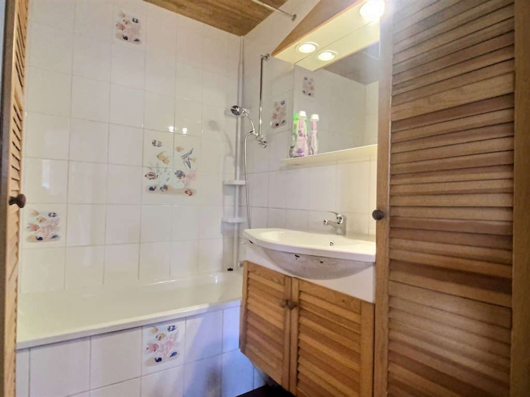 Spacieux et lumineux appartement 2 à 3 chambres