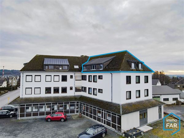 Spacieux appartement 2ch entièrement rénové. garage et cave